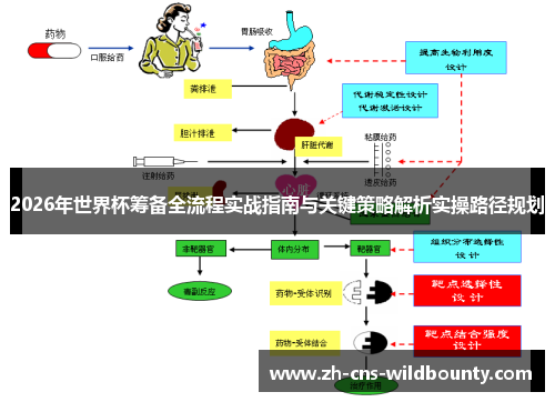 2026年世界杯筹备全流程实战指南与关键策略解析实操路径规划